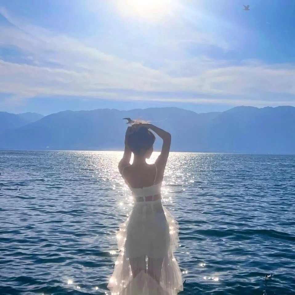 流浪者2023 海报