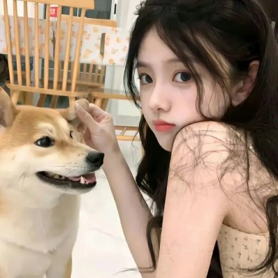 失控好莱坞 海报